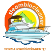 steambiocleaner